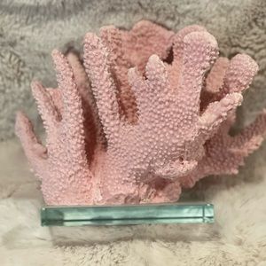 Pink coral decoration piece